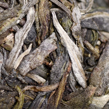 Wuliang Yuan Sheng Pu-Erh – Klassische Serie | Bio Sheng Pu-Erh Teekuchen 357 g (Yunnan) - NEU