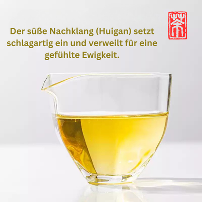 Ban Zhang Stil Gushu Sheng Pu-Erh Tee – Portionierte Premium Tee-Plättchen von alten Teebäumen (196g) | Jahrgang 2018