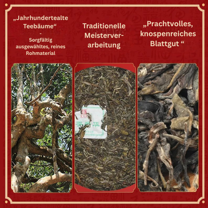Chen Sheng Hao 2012 „Chen Sheng Yiwu“ | Premium Sheng Puerh – 10+ Jahre Reifung (357g)
