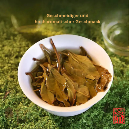 2010 Bingdao Dijie (冰岛地界) | 15+ Jahre Dry Storage – Museum Collection „Six Famous Tea Mountains“ (336g)