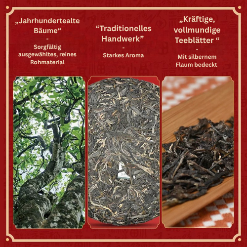 Chen Sheng Hao 2018 | Nannuo Dashu (南糯大树) – Premium Puerh Sheng Cha (357g)